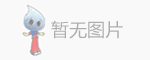 上海雷迪埃電子有限公司